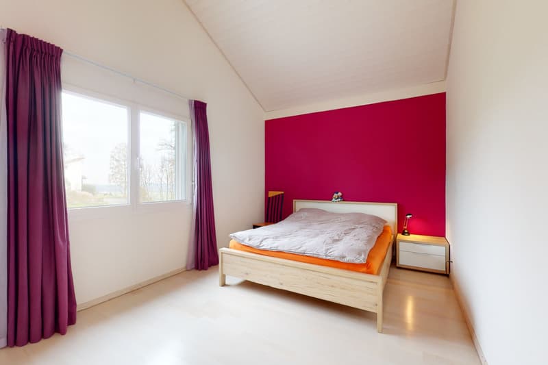 Corjolens : grande villa de 6.5 pièces avec 2.5 P indépendant (11)