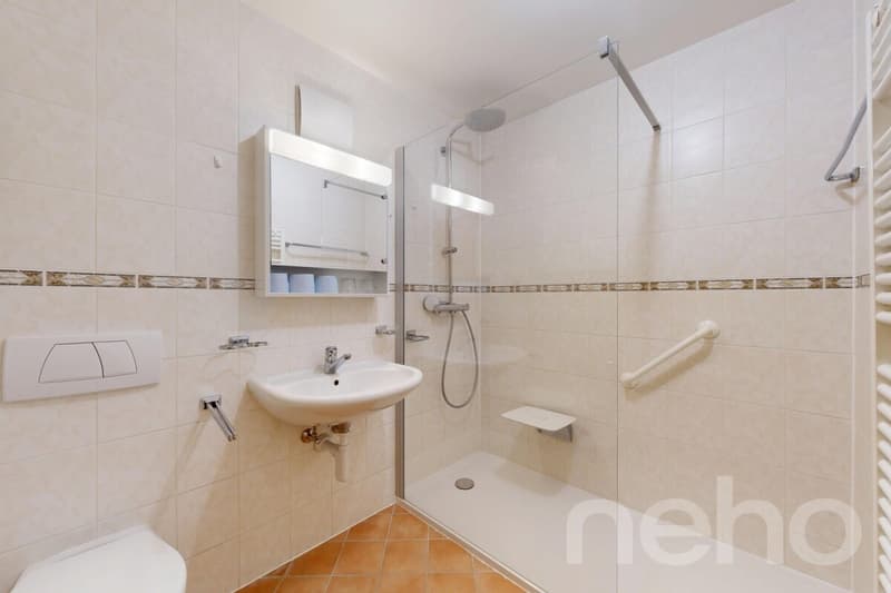 Bel appartement de 4,5 pièces avec vue panoramique au c?ur de Bursins (10)