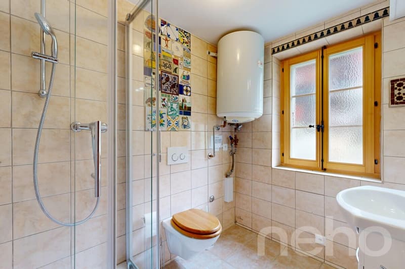 Superbe duplex traversant avec potentiel locatif (9)
