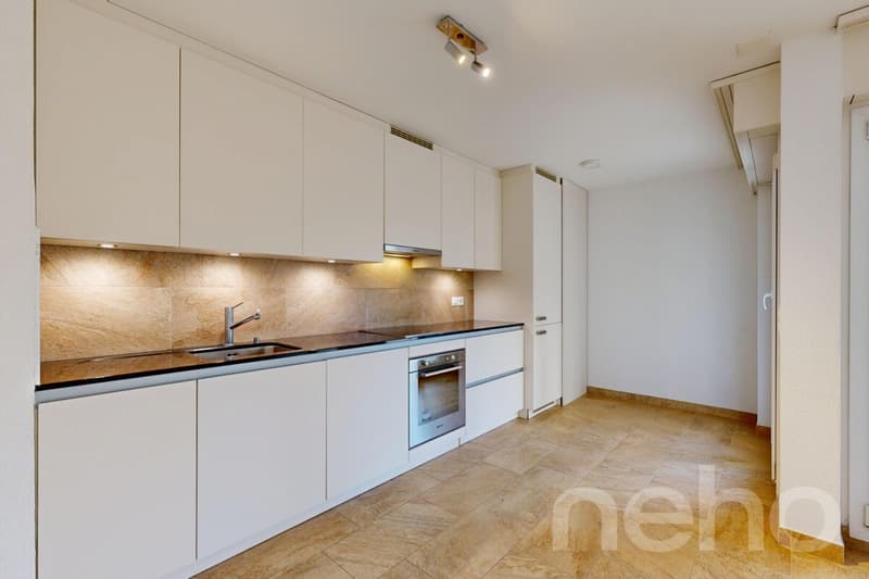 Appartement rénové de 3,5 pièces avec grande terrasse privée (4)