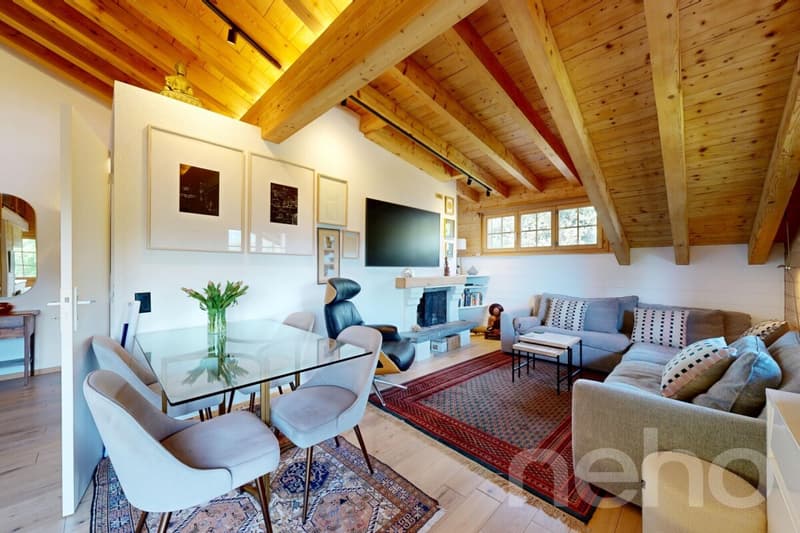 Bel appartement avec mezzanine et vue panoramique ? Chesières, Villars (2)