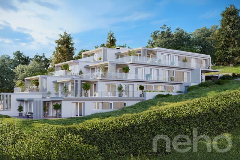 Splendide 4.5 pièces en terrasse ? lumière, modernité et prestige (4)