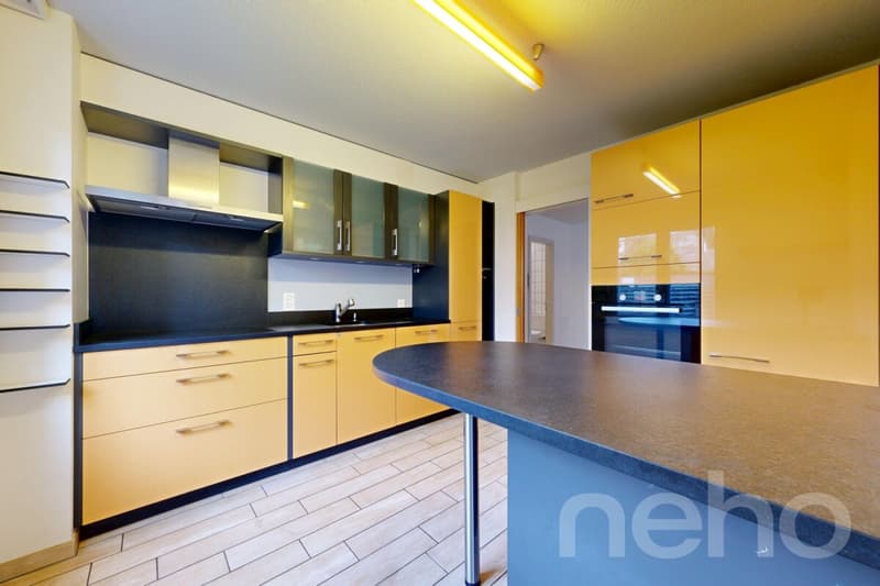 Grand appartement de 4.5 pièces en rez-de-jardin (4)