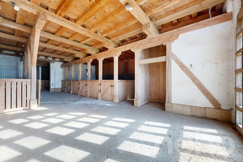 Rare opportunité de créer plusieurs appartements (8)