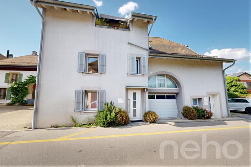 Magnifique Duplex entièrement rénové (3)