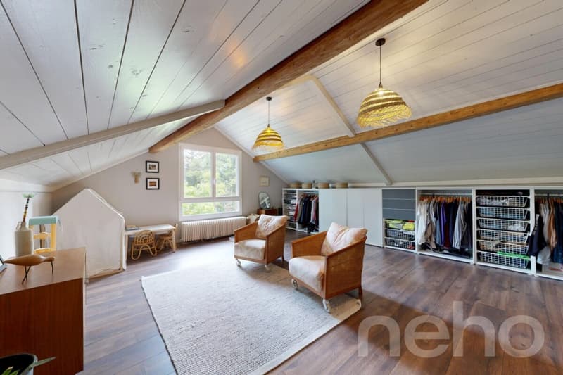 Ferme 1640 rénovée : 2 appts + immense grange à fort potentiel (10)