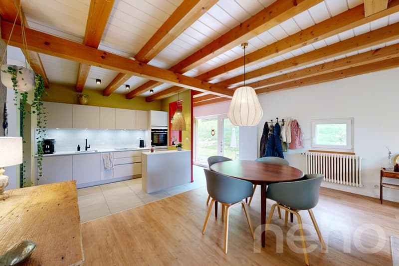 Ferme 1640 rénovée : 2 appts + immense grange à fort potentiel (8)