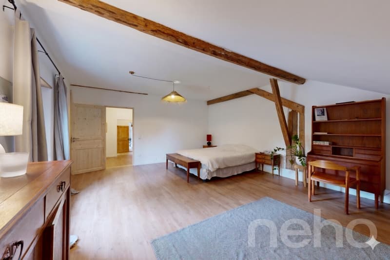 Ferme 1640 rénovée : 2 appts + immense grange à fort potentiel (9)