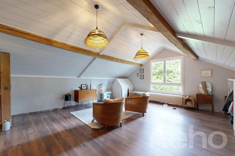 Ferme 1640 rénovée : 2 appts + immense grange à fort potentiel (11)