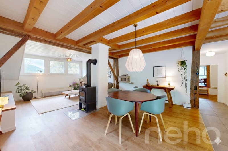 Ferme 1640 rénovée : 2 appts + immense grange à fort potentiel (5)