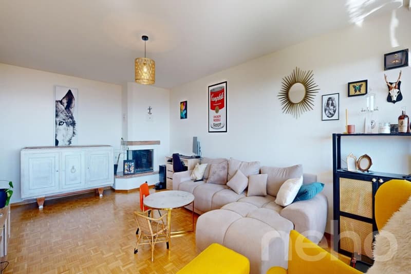 Venez visiter ce très bel appartement avec sa vue sur le lac ! (2)