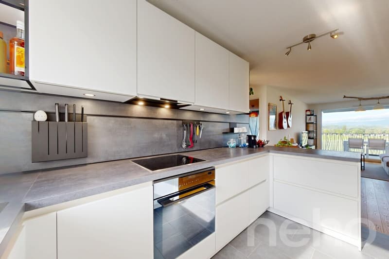 Magnifique appartement avec terrasse au calme absolu à Bussigny (8)