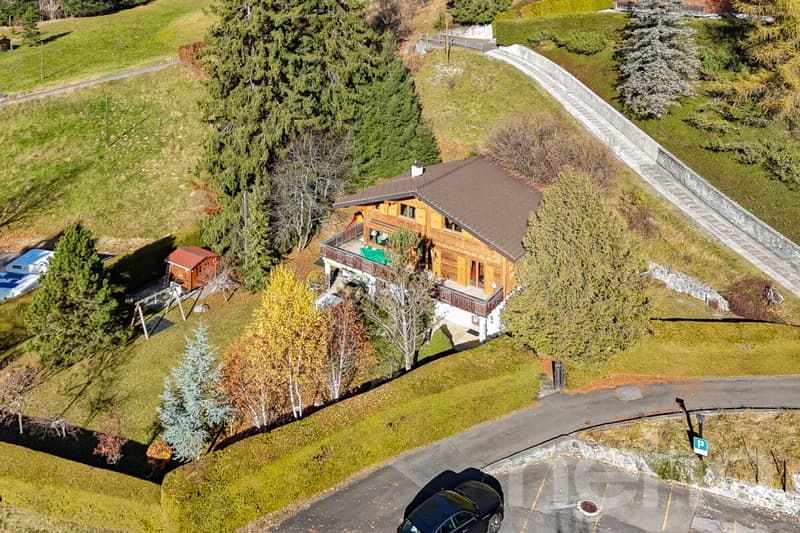 Propriété d'exception - Gryon - Chalet de 8 pièces (12)