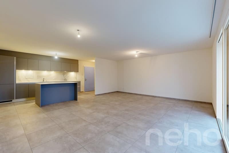 Orbe magnifique appartement avec jardin (4)