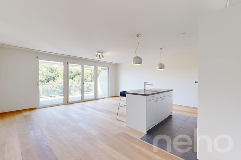 Appartement moderne et lumineux a Belmont-sur-Lausanne (3)