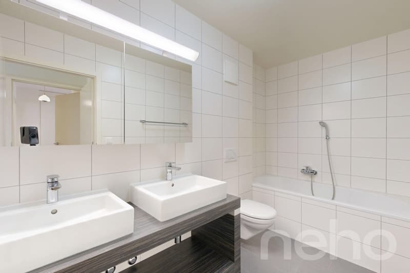 Appartement moderne et lumineux a Belmont-sur-Lausanne (9)