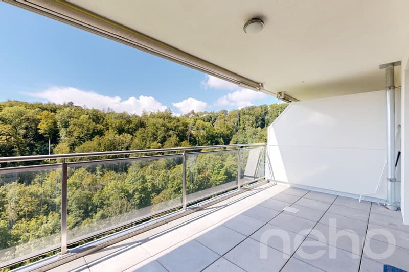 Appartement moderne et lumineux a Belmont-sur-Lausanne (2)