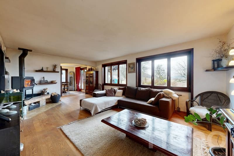 Maison individuelle sur un grand terrain (3)