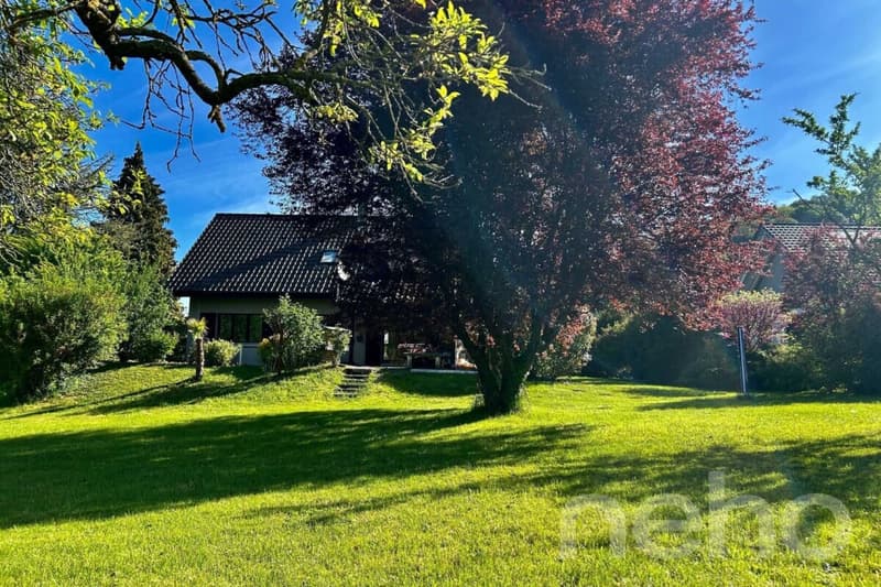 Maison individuelle sur un grand terrain (12)