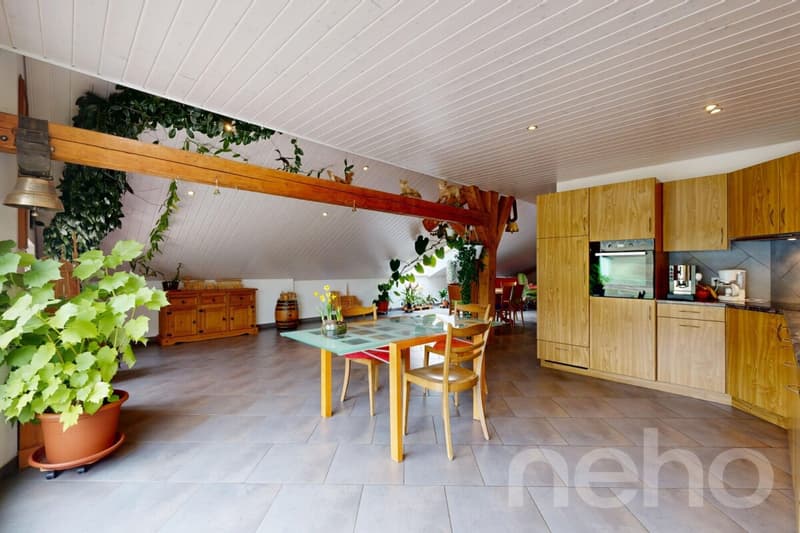 Maison individuelle d'environ 380 m², grand terrain et vue montagnes (7)