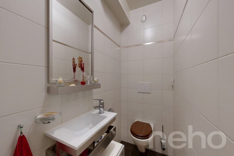 Bel appartement de 5 pièces de 97 m² dans le centre de La Plaine (9)