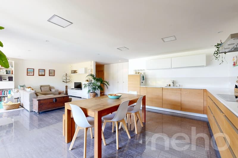 Appartement familial avec grand jardin privatif (3)