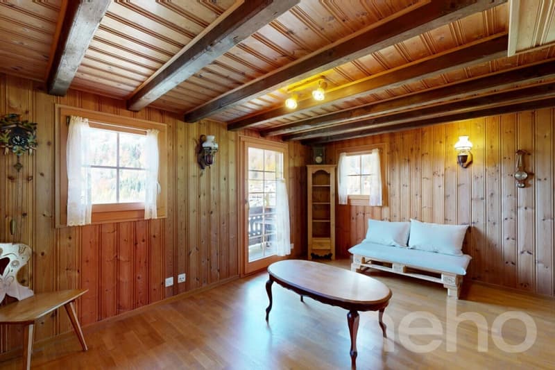 Exclusif : Chalet 2.5 pièces avec jardin (12)