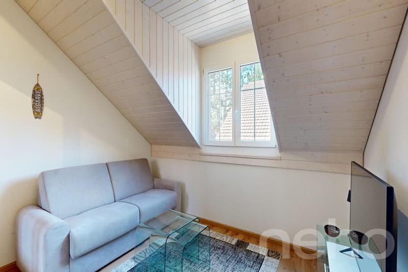 Grand appartement de 4,5pces avec vue imprenable à Gollion (10)