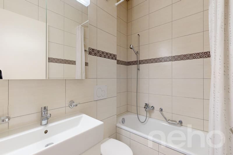 Grand appartement de 4,5pces avec vue imprenable à Gollion (12)