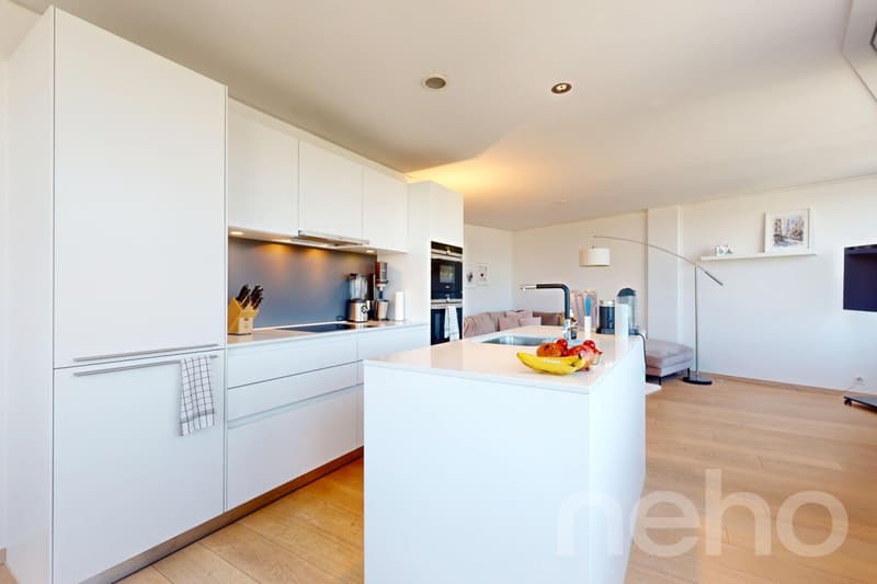 4.5 Zimmerwohnung im Limmattower mit Weitblick (3)