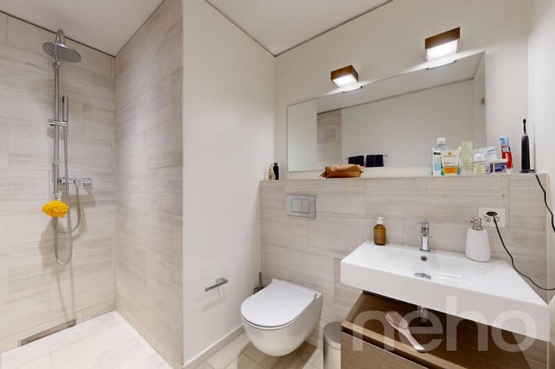 4.5 Zimmerwohnung im Limmattower mit Weitblick (7)