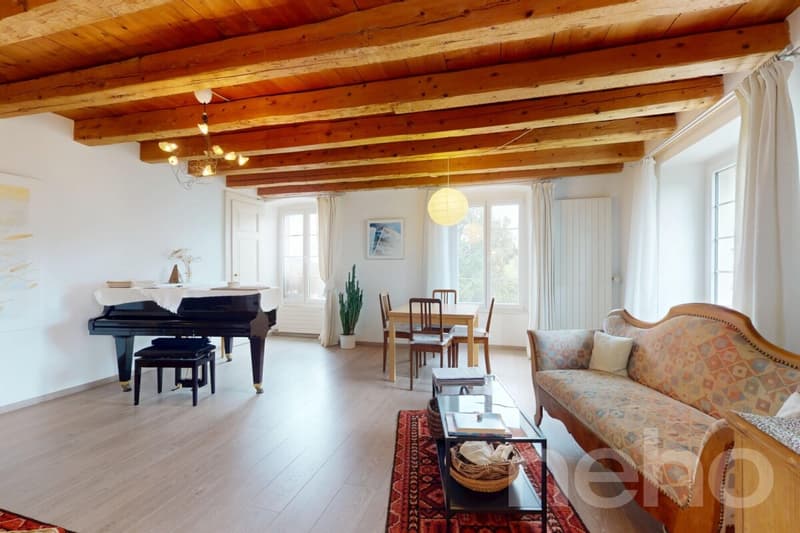 Maison villageoise rénovée avec jardin et fort potentiel (2)