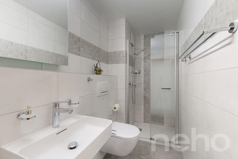 Spacieux 5.5 pièces de 160 m² au calme avec vue dégagée (9)