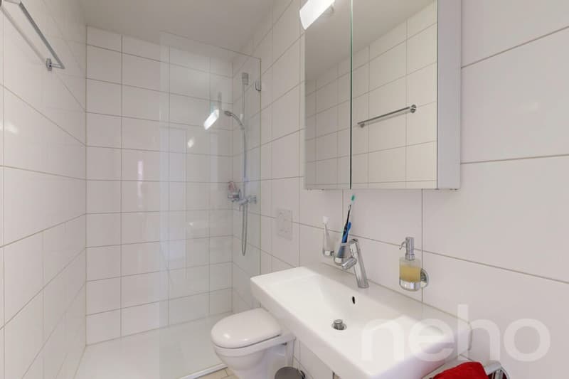 Moderne 3.5-Zimmer-Gartenwohnung mit 184 m² Garten und Sitzplatz (10)