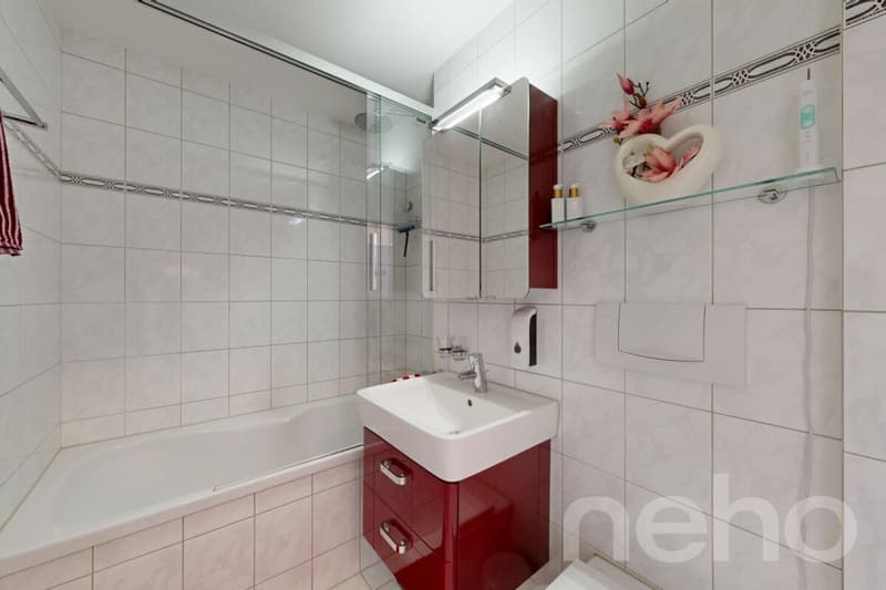 3.5-Zimmer-Wohnung mit unverbaubarer Aussicht (8)