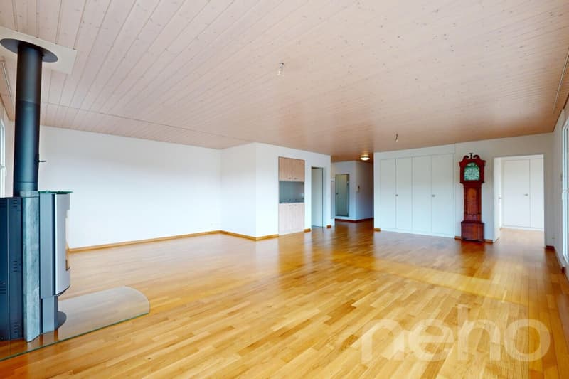 Ein Wohntraum auf einer Ebene: Attika mit Lift in die Wohnung (4)