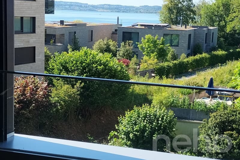 Exklusives Wohnen direkt am Zürichsee (12)