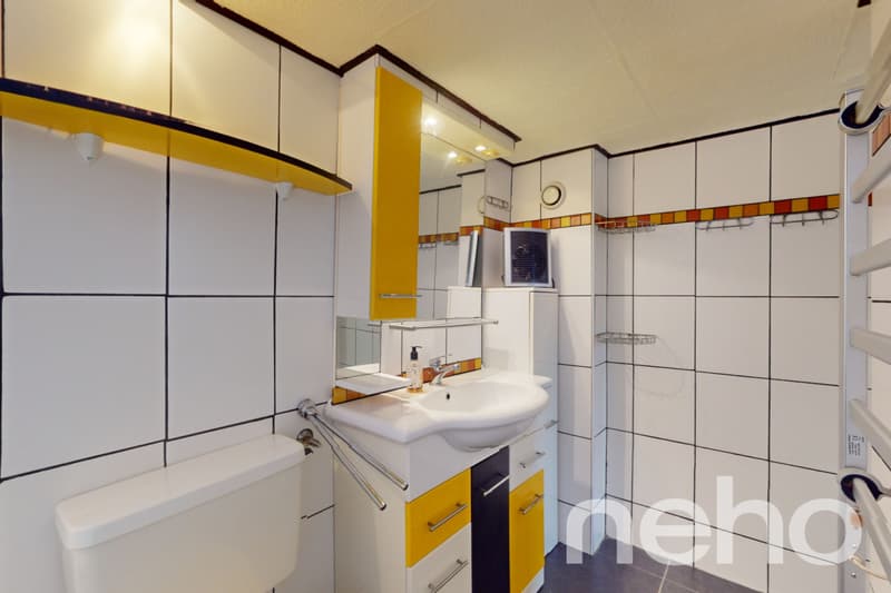 Exclusif: Appartement de vacances et raccard à Daillon VS (7)