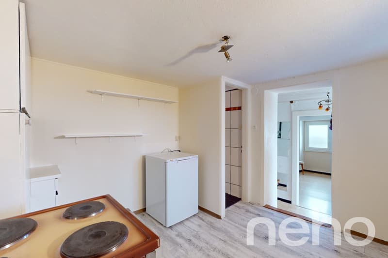 Exclusif: Appartement de vacances et raccard à Daillon VS (11)