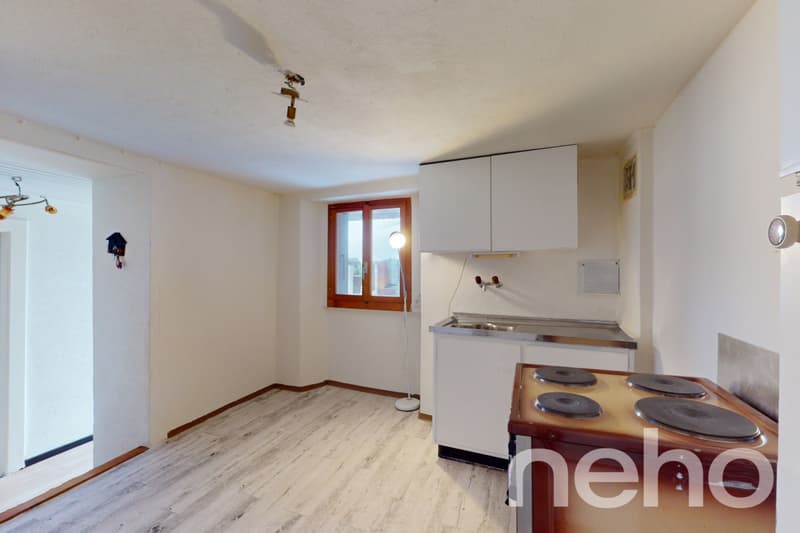 Exclusif: Appartement de vacances et raccard à Daillon VS (12)