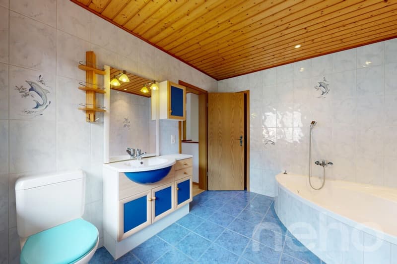 Splendide villa individuelle (10)
