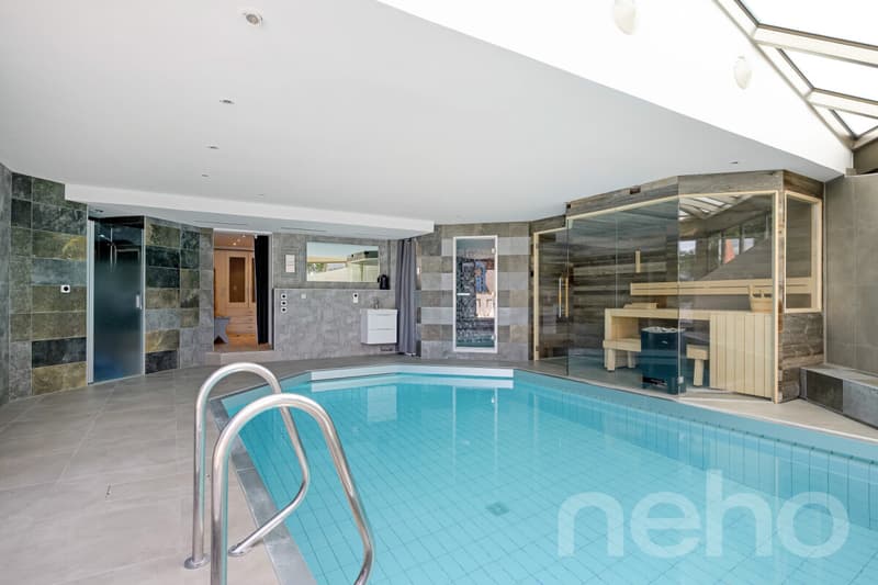 Villa raffinée avec spa privatif proche Lausanne (3)