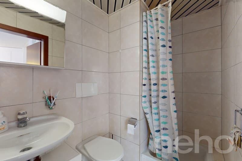 Appartement rénové de 4,5 pièces avec vue sur le lac ! (10)