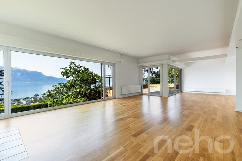 Villa de standing avec vue panoramique à 180 sur le lac Léman (3)