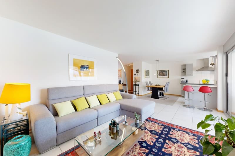 Superbe appartement 4,5 pièces avec terrasse (3)