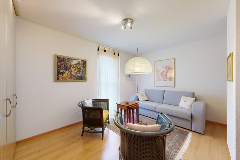 Superbe appartement 4,5 pièces avec terrasse (7)