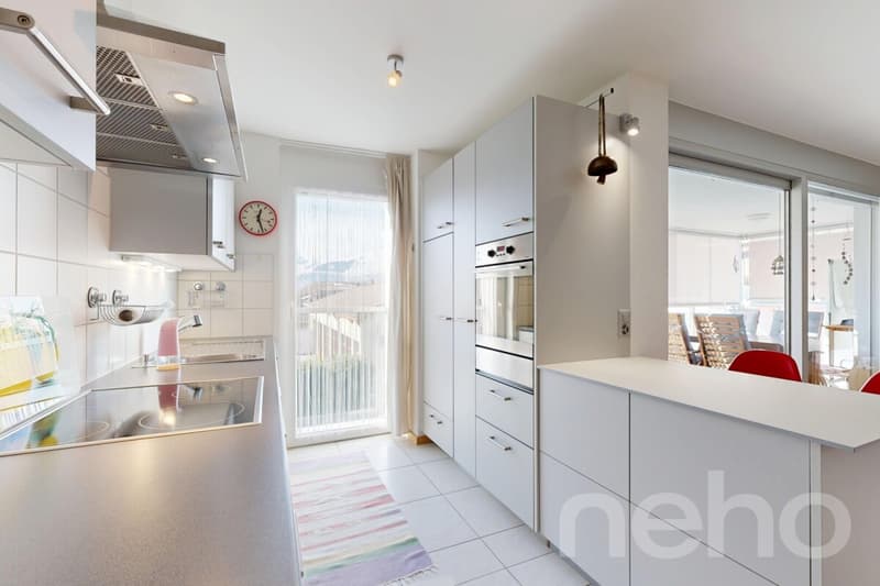 Superbe appartement 4,5 pièces avec terrasse (10)