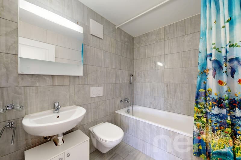 Charmant appartement 4.5 pièces au c?ur du Vully (10)