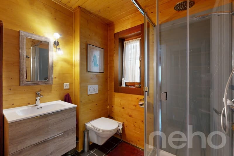 Splendide maison en bois a deux pas du lac (11)