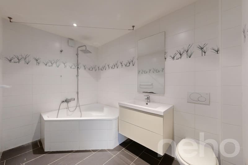 Charmante maison comprenant deux appartement ! (5)